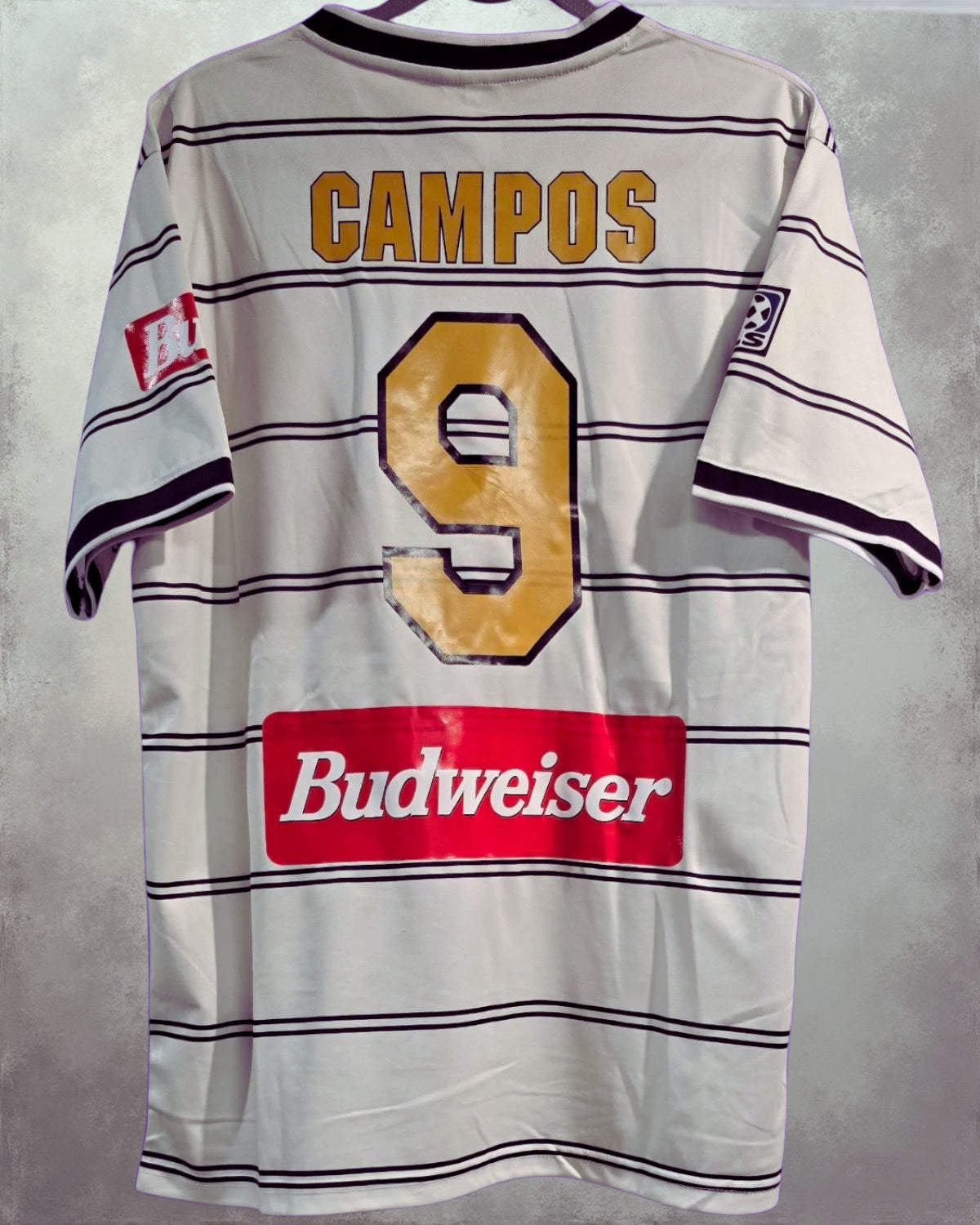 CAMPOS JORGE 1996-97 (LAG)