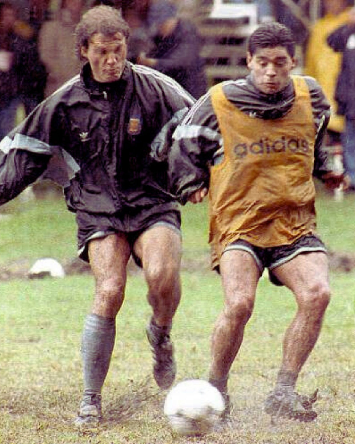 ARGENTINA WINDBREAKER (1994-95)